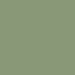 RAL6021 - Pale Green